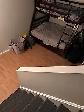 6.5 with Basement in ILE BIZARD - July 1st - Photo 8