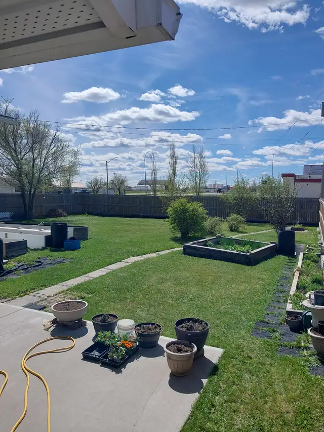 Lawn care 2026.