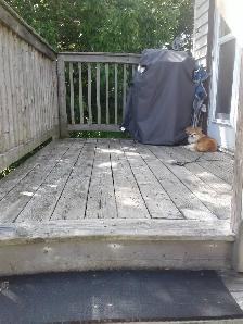 1 Bed Apt July/Aug 1st  5239 Highway 10 Downtown New Germany - Photo 3