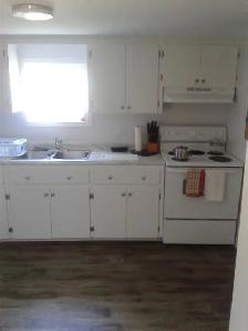1 Bed Apt July/Aug 1st  5239 Highway 10 Downtown New Germany - Photo 5