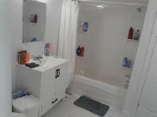 1 Bed Apt July/Aug 1st  5239 Highway 10 Downtown New Germany - Photo 6