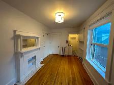 Nice and bright bachelor- Centretown- Available Immediately!