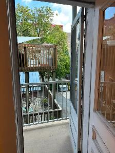 Nice and bright bachelor- Centretown- Available Immediately! - Photo 3