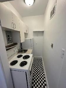 Nice and bright bachelor- Centretown- Available Immediately! - Photo 4