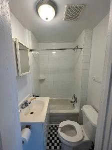 Nice and bright bachelor- Centretown- Available Immediately! - Photo 5