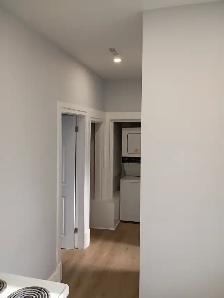 1 BEDROOM FOR RENT Downtown - Photo 10