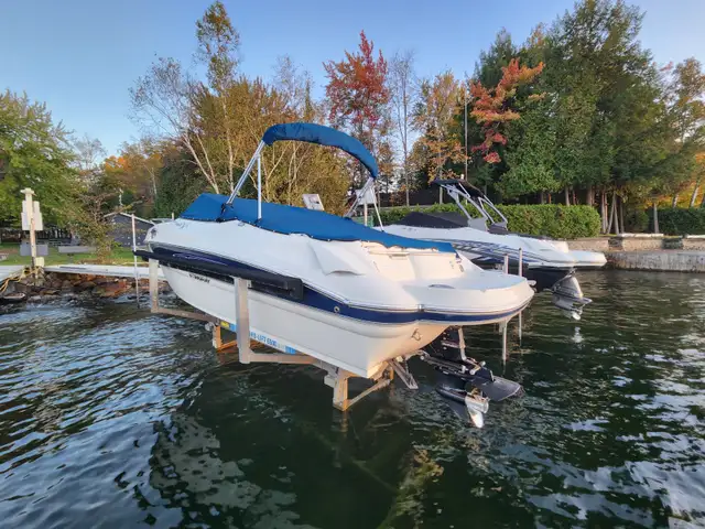 Stingray 2011 CR215