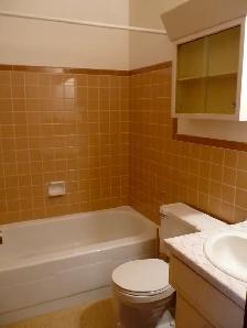 MUST SEE!! All Inclusive-Large 1BDRM - Photo 2