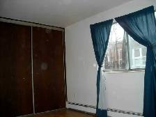 MUST SEE!! All Inclusive-Large 1BDRM - Photo 6