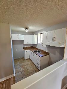 2 Chambres- Secteur Hautes-Plaines - Photo 2