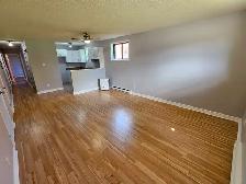 2 Chambres- Secteur Hautes-Plaines - Photo 4
