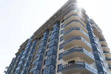 South Carriage Place II - Tenby   Apartment for Rent - Photo 6