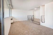 Centretown - August 1 bedroom $1699