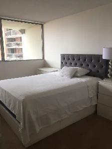 Centretown - August 1 bedroom $1699 - Photo 2