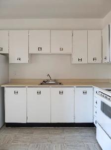 Centretown - August 1 bedroom $1699 - Photo 3