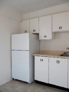 Centretown - August 1 bedroom $1699 - Photo 4