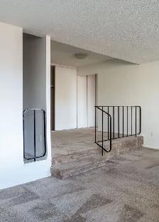 Centretown - August 1 bedroom $1699 - Photo 5