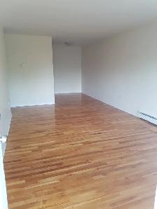 1BR w/ Northwest Arm Views - Unit 201 - Aug 1st - Heat/Water Inc - Photo 5