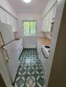 1BR w/ Balcony - Unit 24 - Near Hospital - July 1st - Heat/Wat - Photo 7