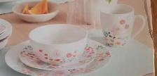 Porcelain Dish set