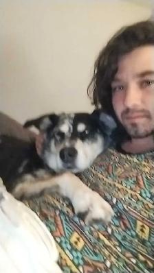 looking for a dog friendly room or studio