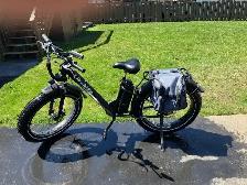 E-Bike – Adult – Step Through - Photo 2