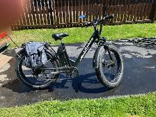 E-Bike – Adult – Step Through - Photo 3