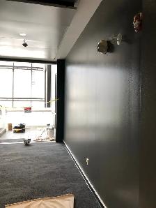 Painter/ Taper - Photo 9