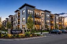 Full-Service Real Estate, Business & Investment Advisory - Photo 5