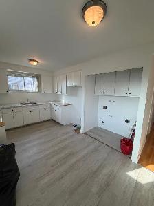 ✨ Joli Logement 4 ½ à Montréal-Nord ✨ - Photo 2