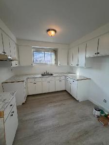 ✨ Joli Logement 4 ½ à Montréal-Nord ✨ - Photo 4