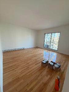 ✨ Joli Logement 4 ½ à Montréal-Nord ✨ - Photo 5