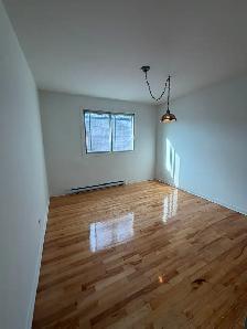✨ Joli Logement 4 ½ à Montréal-Nord ✨ - Photo 6