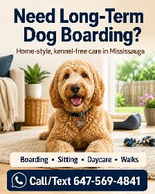 Long-Term Dog Boarding in Mississauga | Home-Style Kennel-Free
