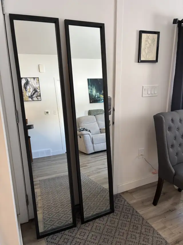 Two new framed mirror