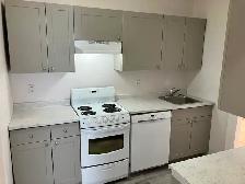 1 Bedroom   Den Sandy Hill Apartment for Rent (173 Daly Ave) - Photo 7