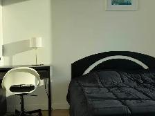 Brand New 1b1b Luxury Condo @ Surrey Central (Flexible Lease) - Photo 6