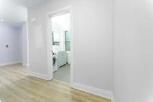 Bright & Modern 1-Bedroom Apartment in Hintonburg - Photo 6