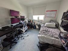 Young Professionals, Students, Central, Furnished, For June 01st
