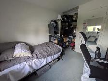 Young Professionals, Students, Central, Furnished, For June 01st - Photo 2