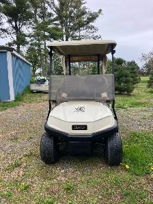 2019 Clubcar Tempo Premium Electric Golf Cart - Photo 2