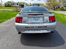 2000 Mustang GT - Photo 3