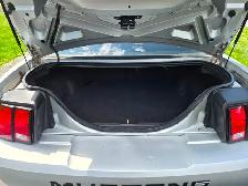 2000 Mustang GT - Photo 5