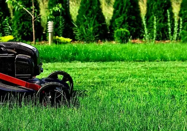 Got Lawn??? Call us 1 8777743449