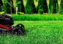 Got Lawn??? Call us 1 8777743449