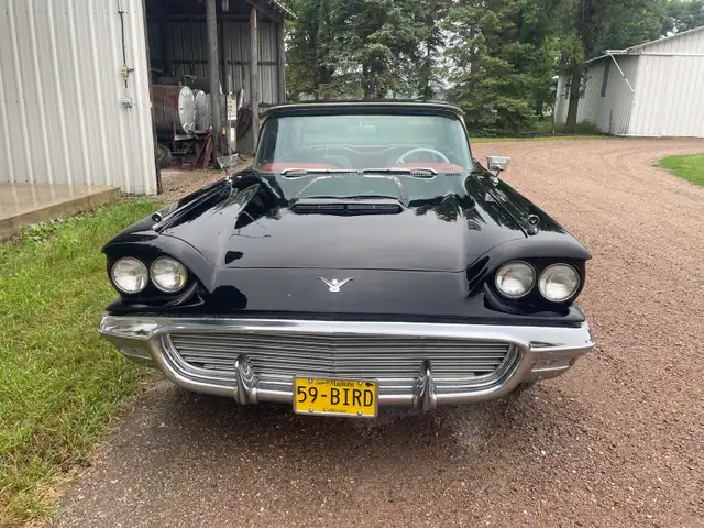 59 Thunderbird