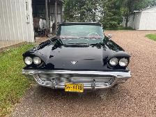 59 Thunderbird