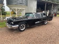 59 Thunderbird - Photo 2