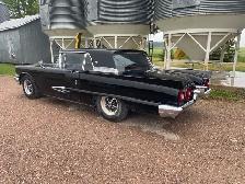 59 Thunderbird - Photo 3