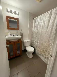 4 1/2 Renovated NDG 1,400$ July 1st - Heat Pump   WiFi - Photo 2
